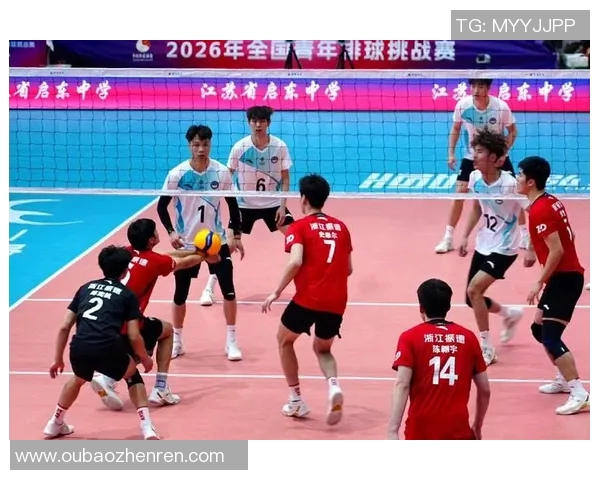 2026年3月份新闻广州排球队实力引发热议球迷对球队未来发展看法各异